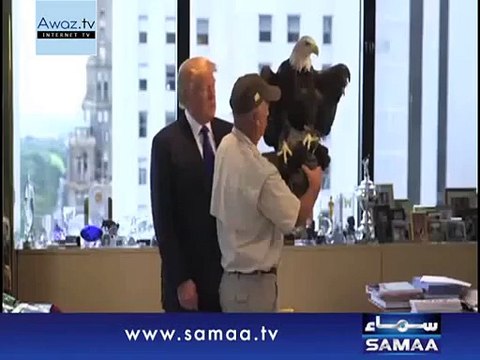 Bald eagle terrifies Donald Trump,Even the birds are unhappy with US politician Donald Trump