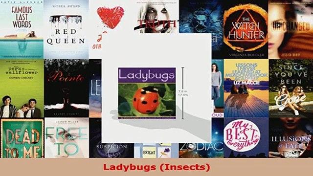 Download Ladybugs Insects EBooks Online