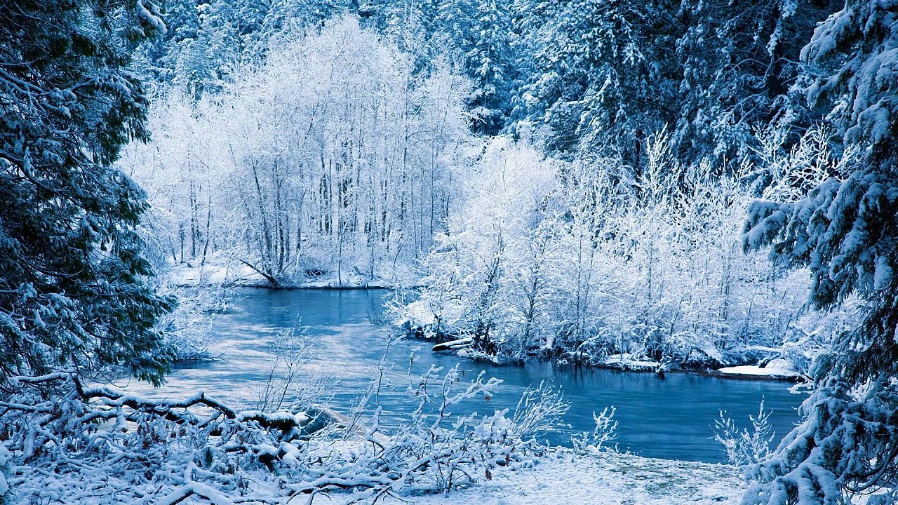 Winter Christmas melody
