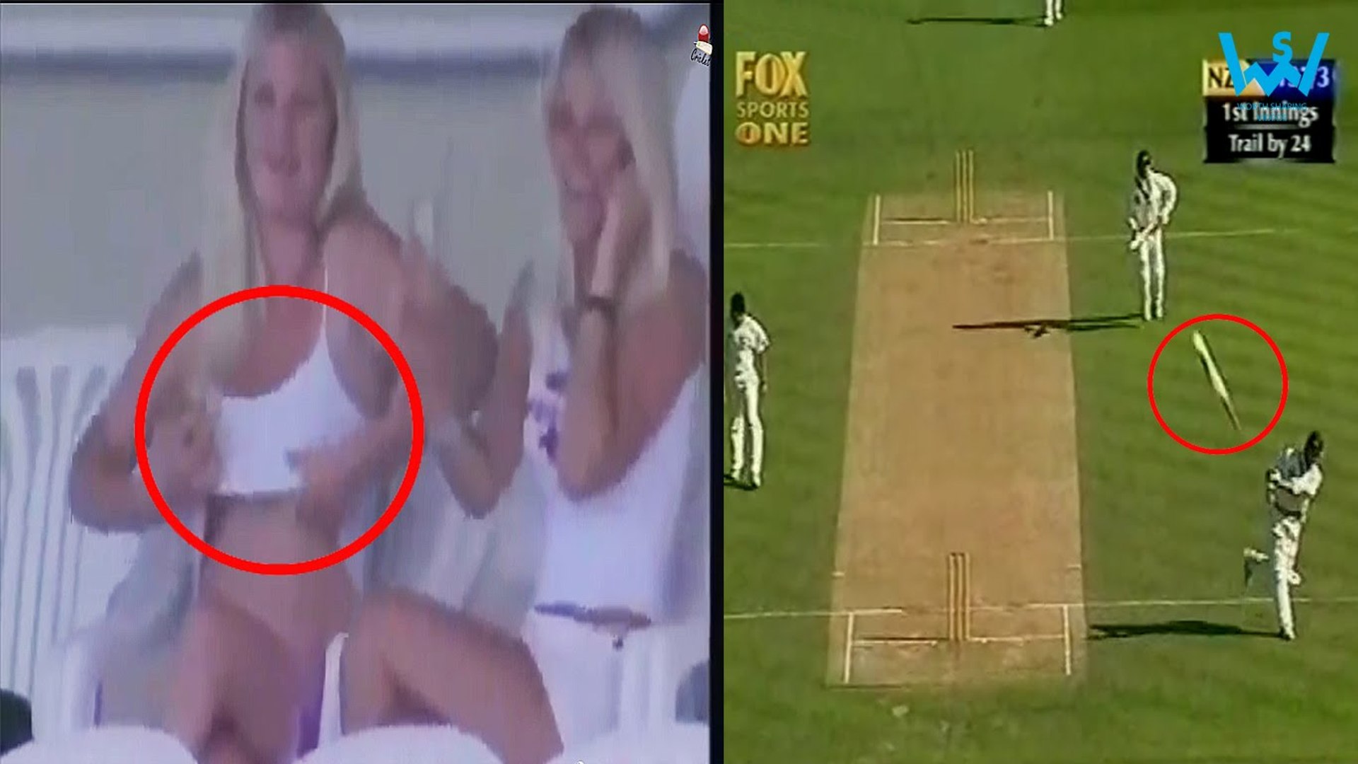 Sexy Funniest moments in cricket ever - video Dailymotion