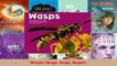 Read  Wasps Bugs Bugs Bugs PDF Free