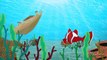 Kırmızı Balık Gölde Kıvrıla Kıvrıla Yüzüyor - Edis ile Feris Bebek Şarkıları