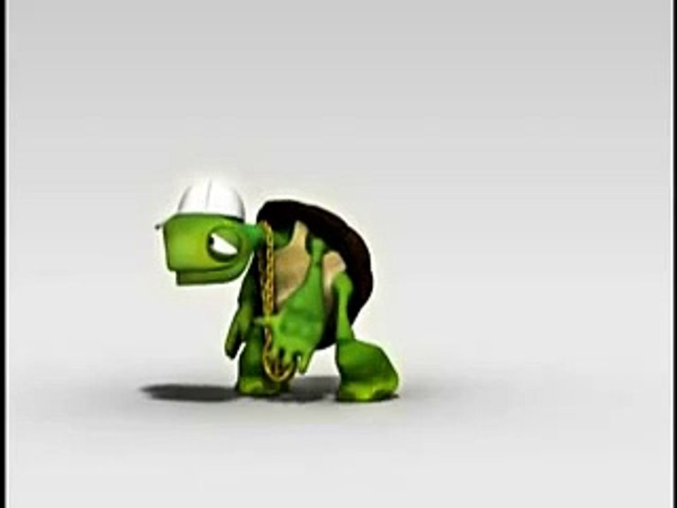 Crazy Turtle
