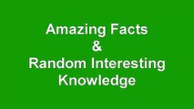 Amazing Facts & Interesting Knowledge! Fun Random Facts