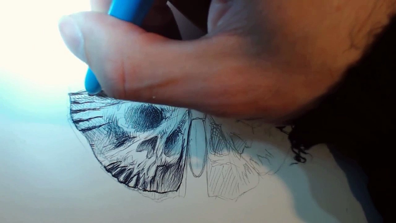 Beanie Draws A Tattoo Design of A Moth Butterfly with Skull Wings Using Ballpoint Pen