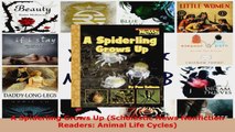 Read  A Spiderling Grows Up Scholastic News Nonfiction Readers Animal Life Cycles PDF Online