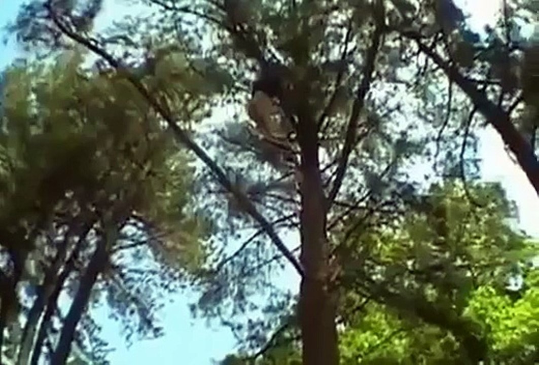 Fácil de mirarlo no se puede