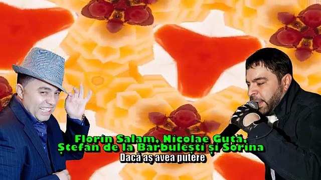 Nicolae Guta, Sorina si Stefan de la Barbulesti - As renunta - manele vechi de dragoste