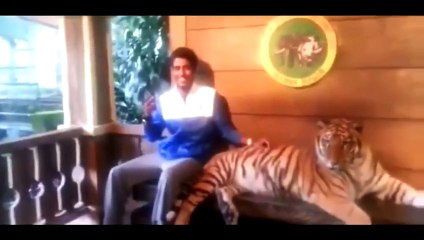 #16 Lustige Videos Лучшие приколы 2015 (Funny, fail compilation) 楽しい 2015 面白い動画 // 不覚にも笑って