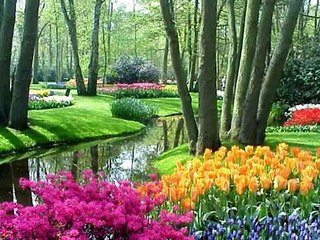 피나클 양방じ Supercar123.Com 가입코드7171