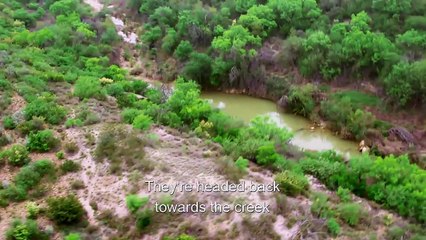 Trapped In the Stash House | Drugs, Inc.