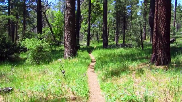 Le Pacific Crest Trail en 3 minutes