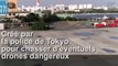 Au Japon, des drones chasseurs de drones