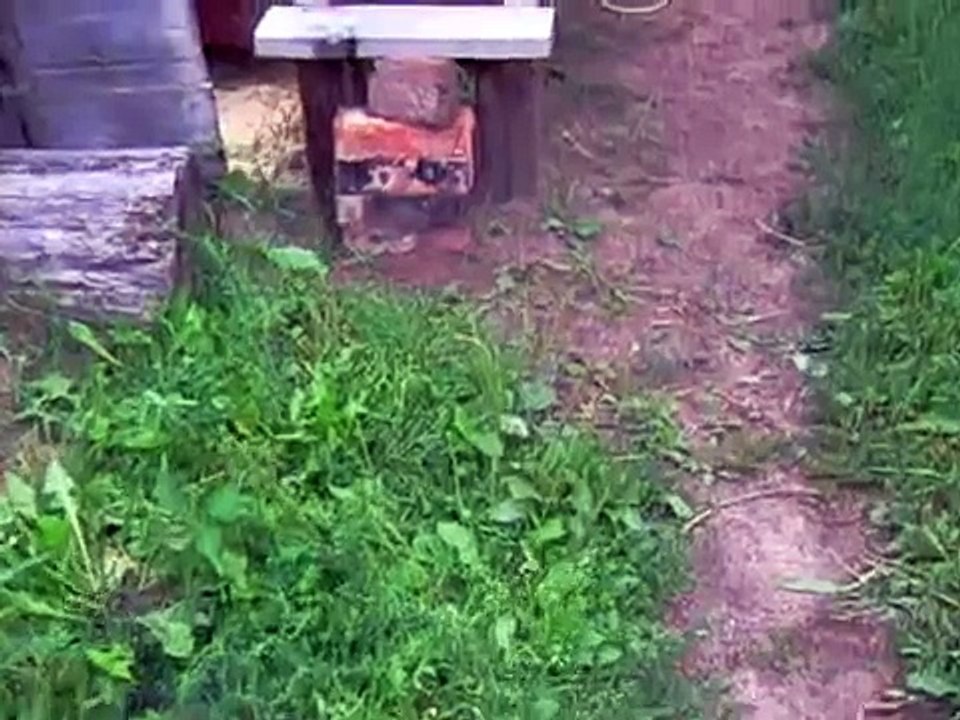 Самодельная пилорама