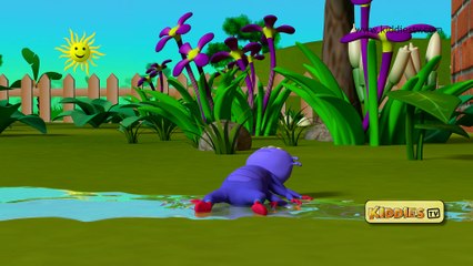 Itsy Bitsy Spider Rhyme | Nursery rhymes | Baby songs | Kiddies tv