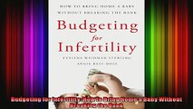 Budgeting for Infertility How to Bring Home a Baby Without Breaking the Bank