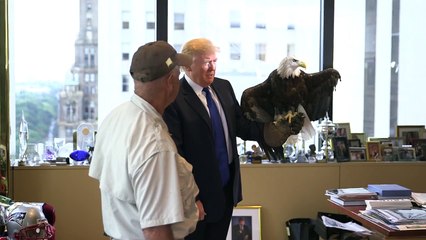 Donald Trump attaqué par un aigle, symbole des Etats-Unis