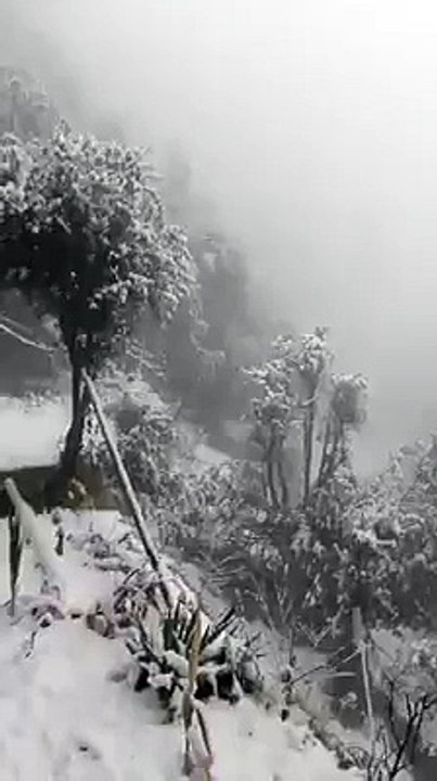 Snow Fall In Chanjath On 10-Dec-2015