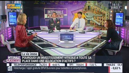 La vie immo: Est-il rentable d'investir dans un vignoble ? – 11/12