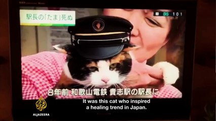 Off the Rails - A Journey Through Japan