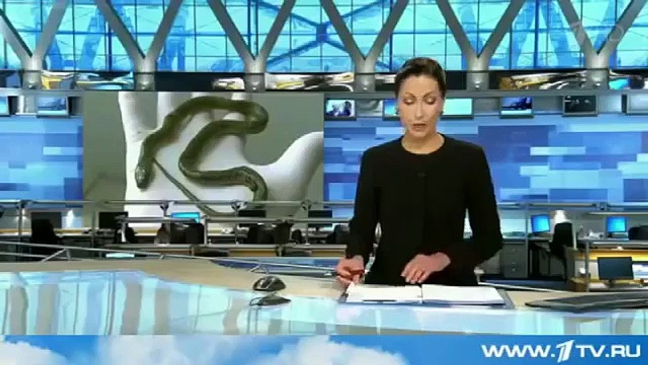 ШОК! МАЛЕНЬКИЙ МАЛЬЧИК ЗАГРЫЗ ЯДОВИТУЮ ЗМЕЮ