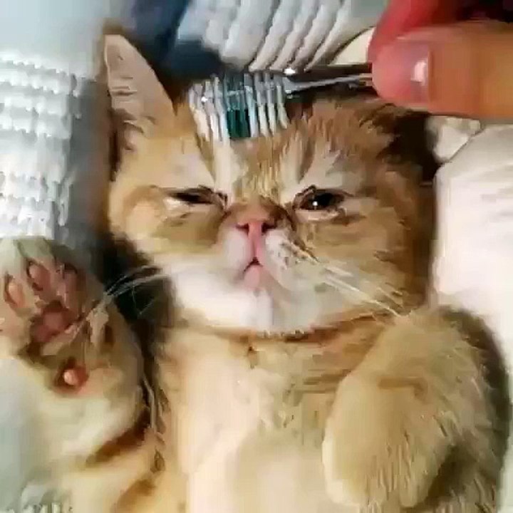 What a life...