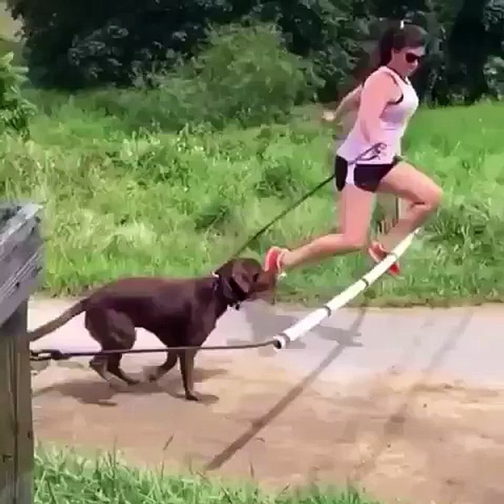 When you think you can run faster than your dog