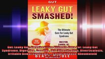 Gut Leaky Gut Smashed The Ultimate Cure For Leaky Gut Syndrome Digestion Candida IBS