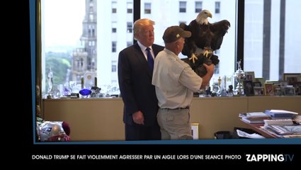Donald Trump : violemment attaqué par un aigle lors d'un shooting photo