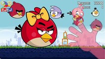 Finger Family Angry Birds Nursery Song and Children 2D Animation Rhymes , 2016