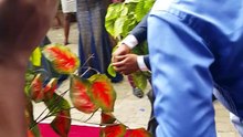 20151107_142416.mp4