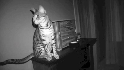 HALLOWEEN GHOST SCARE PRANK!