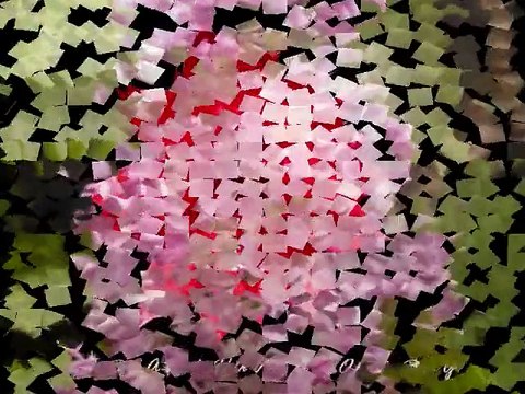 Tänd ett ljus för kärleken