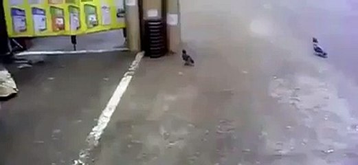 fun VID-20151028-WA0062