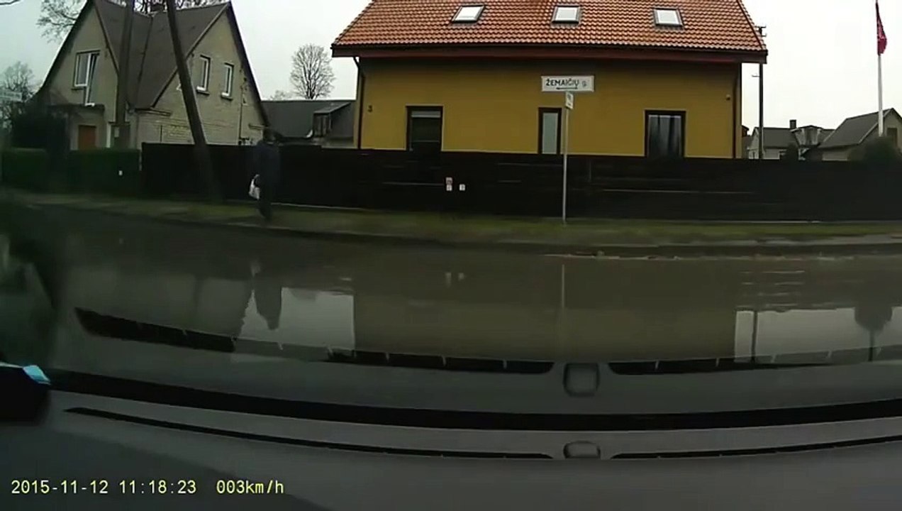 "UPRZEJMY" LITEWSKI KIEROWCA