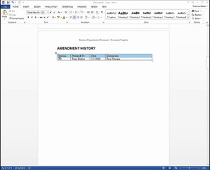 OrionBSA 02 Business Requirements Document Overview