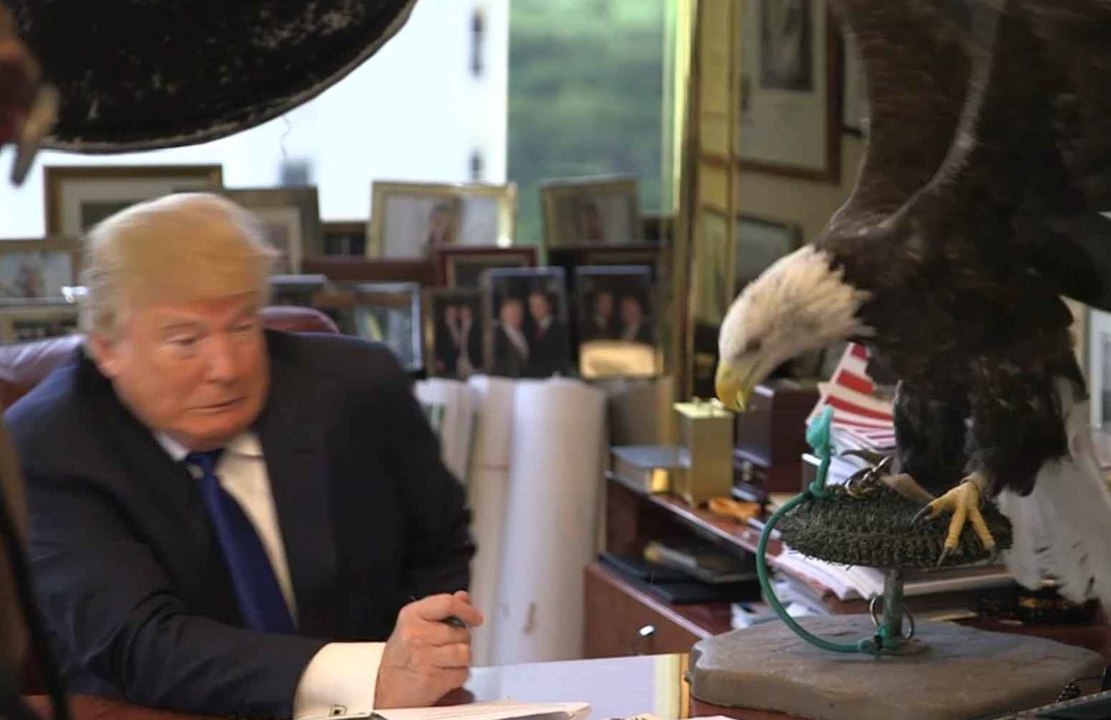 Donald Trump n'y arrive pas avec un aigle - ZAPPING ACTU HEBDO DU 12/12/2015