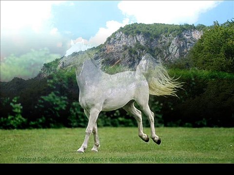 Safet Isovic - Jahao sam konje