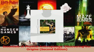 PDF Download  Essentials of Physical Anthropology Discovering Our Origins Second Edition Download Online