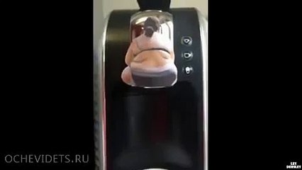 Máy pha cà phê công nghệ mới - bá đạo trên từng hột gạo