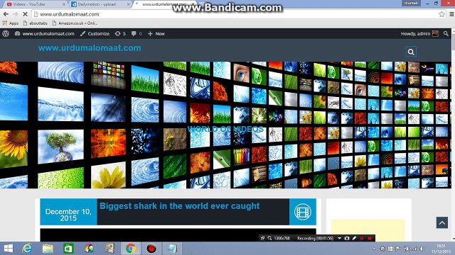 How to upload youtube video in to wordpress blog post
