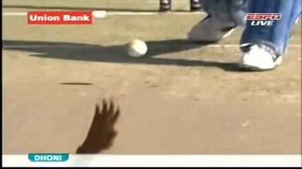 Umar Gul Stumps Flying Wicket