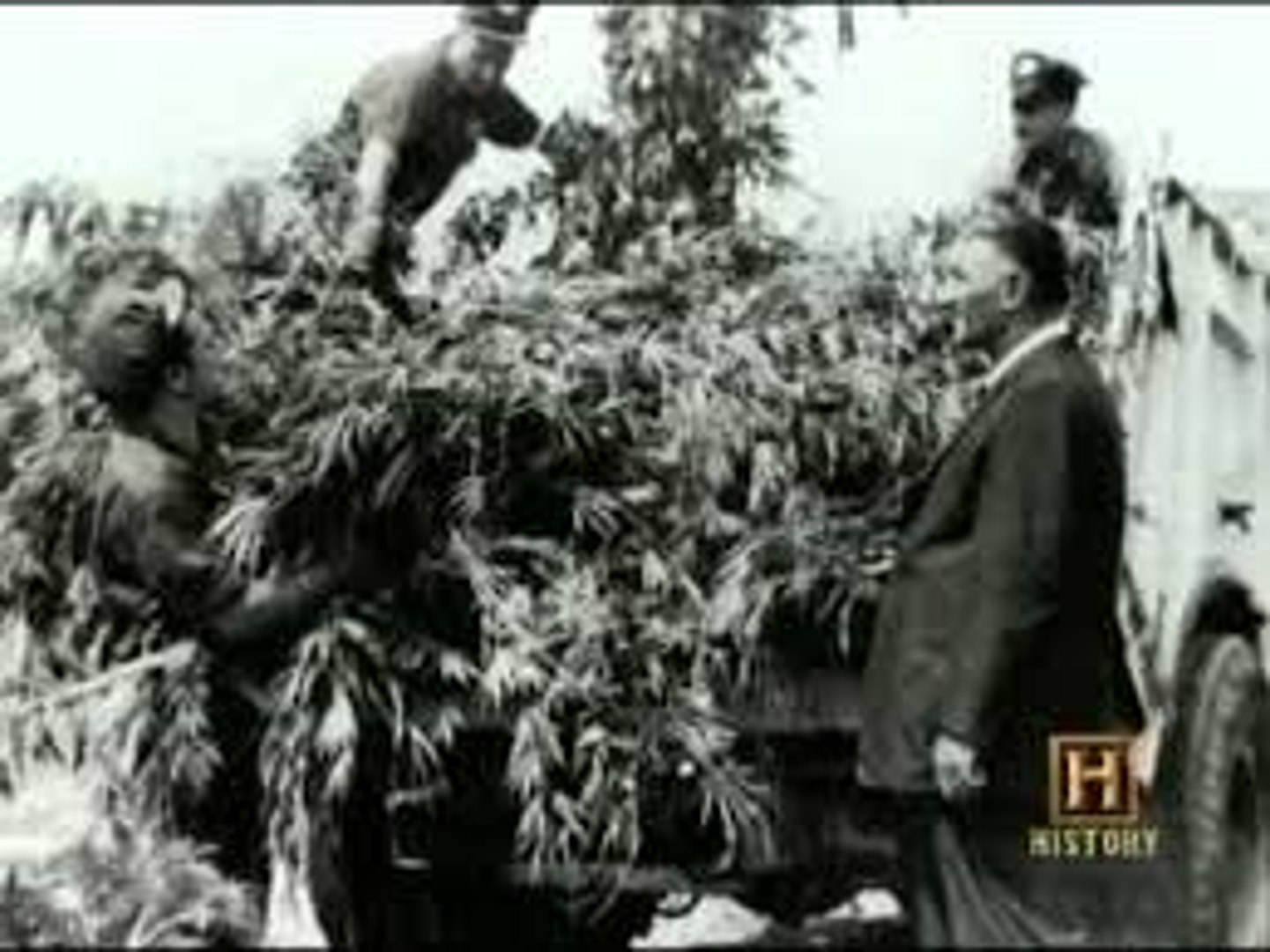 ⁣Ilegal Drugs - Marijuana , Amphetamine