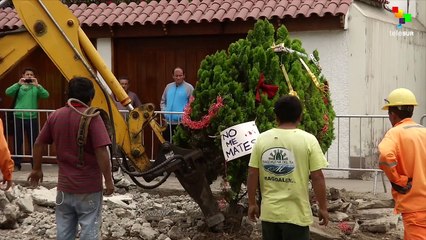 Protests in Lima against destruction of green areas