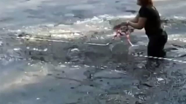 ШОК! Мальчик рисковал своей жизнью ради жизни собаки, низкий поклон таким людям.