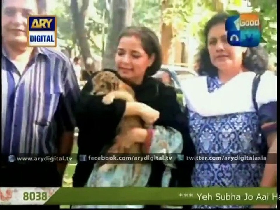Babra Sharif has adopted a lion cub