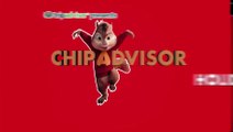Alvin and the Chipmunks: The Road Chip 2015 Film Tv Spot Chip Advisor Souvenir
