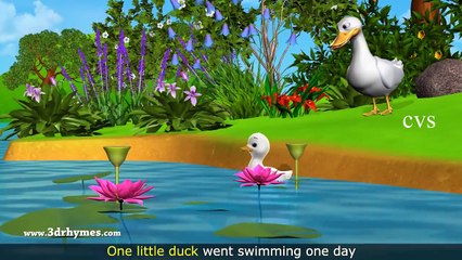 Five Little Ducks Went Out One Day 3D Animation Five Little Ducks Nursery Rhyme for childr