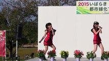 2015/10/03 水戸ご当地アイドル(仮)デビュー3周年 都市緑化フェス