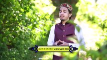 Nam Japda Zmana Sarkar Da HD  Video Naat [2015] Adeel Faridi - All Video Naat